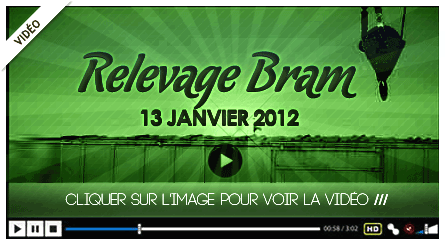 vidéo: relevage Bram